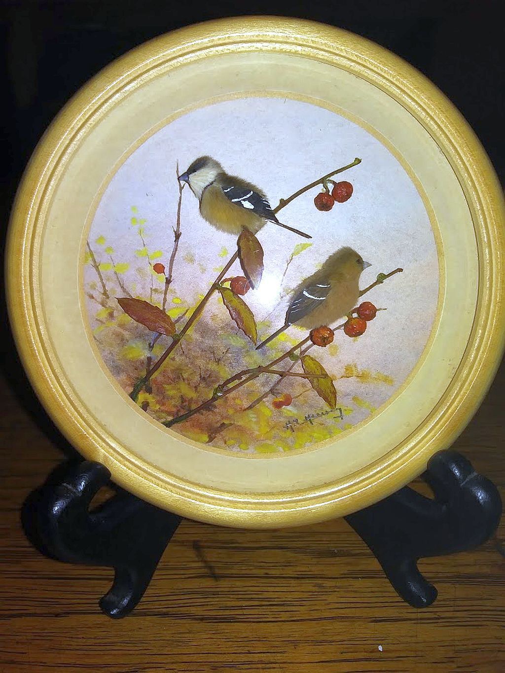Morelet's Seed-eaters (5-inch)